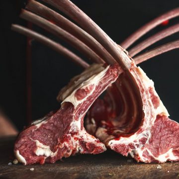 Lamb