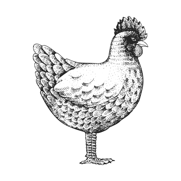 icons3 demo5 03
