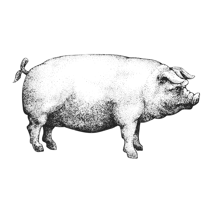 icons3 demo5 06