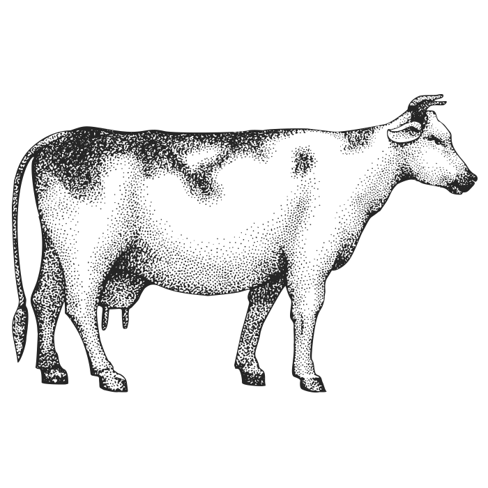 icons3 demo5 07